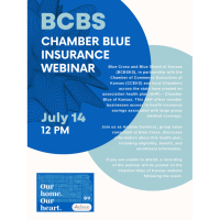 Chamber Blue Insurance Webinar - BCBS
