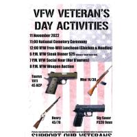 VFW Veterans Day Activities 