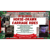 Horse-drawn Carriage Rides