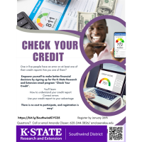 Check Your Credit Campaign by Southwind Extension District