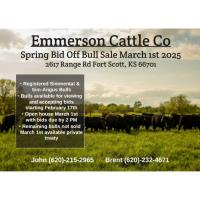 Emmerson Cattle Co Spring Bull Sale