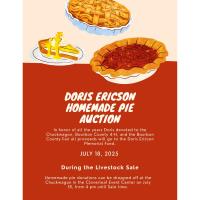 Homemade Pie Auction - Doris Ericson Memorial Fund