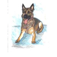 Paint Your Pet with Anita