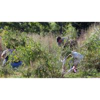 National Public Lands Day Event - Fort Scott National Historic Site