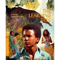 Showing of the Criterion Collection film The Learning Tree