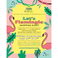 Let's Flamingle Summer Shopping Sale, Downtown & Around!