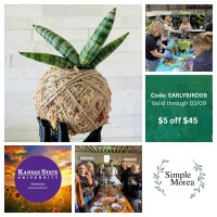 Kokedama Workshop by FS Public Library