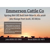Emmerson Cattle Co. Spring Bid off Bull Sale