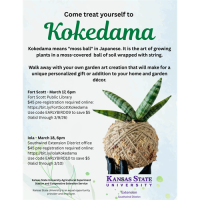 Kokedama by Southwind Extension District