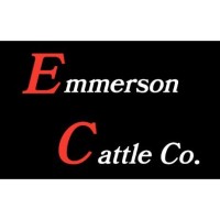 Battle at the Border Cattle Show