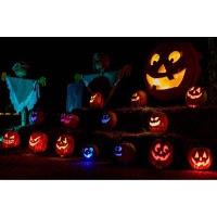 Jack O' Lanterns Unleashed