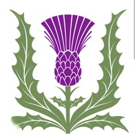 The Vintage Thistle