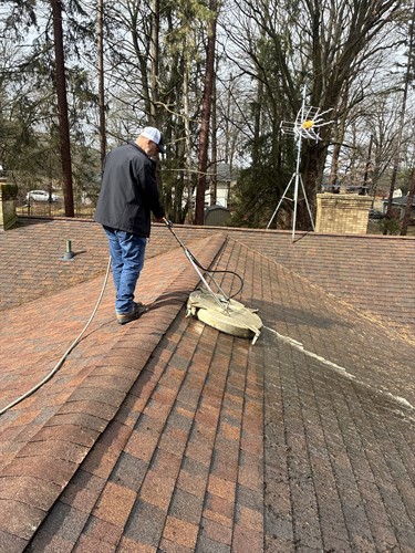 Roof Cleaning