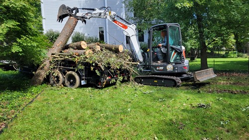 E35 moving trees