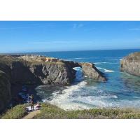 Mendocino Open Paint Out - Plein Air Festival