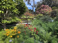 Mendocino Coast Botanical Gardens