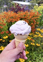 Mendocino Coast Botanical Gardens