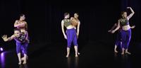 Mendocino Dance Project's SPECTATOR