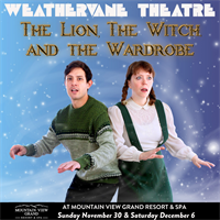 THE LION, THE WITCH, AND THE WARDROBE