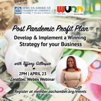 Post Pandemic Profit Plan: Develop & Implement a Winning Strategy for Your Business
