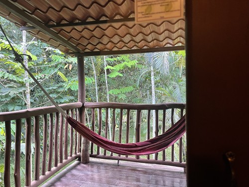 Enjoy the Rain forest in Costa Rica