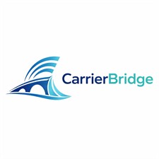 CarrierBridge Consulting