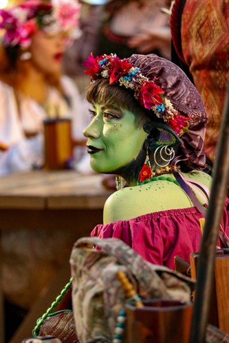 Gallery Image SRF_TOI25_-_Best_In_Show_1st_-_Fantasy_Cosplay_-_Goblin_in_the_Sun_-_Cassie_Gonzales_2025.jpg