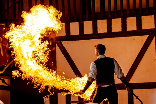 Gallery Image SRF_TOI25_-_Best_In_Show_2nd_-_Entertainment_-_Jack_the_whipper_fireball_-_Daniel_Hurwitt_2025.jpg