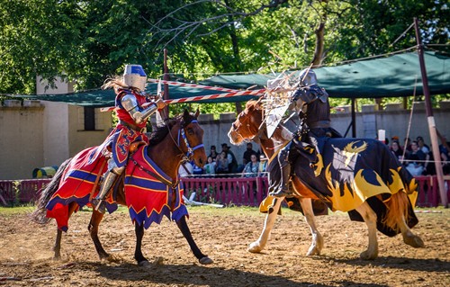 Gallery Image SRF_TOI25_-_Category_Winner_-_Joust_-_impact_-_Troy_Heinemeyer_2025.jpg
