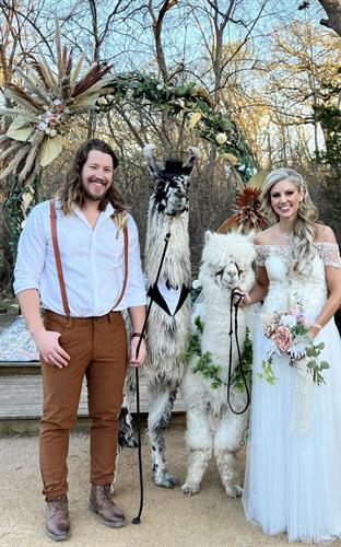 We have wedding llamas, a beer burro and flower pony all available on-site!