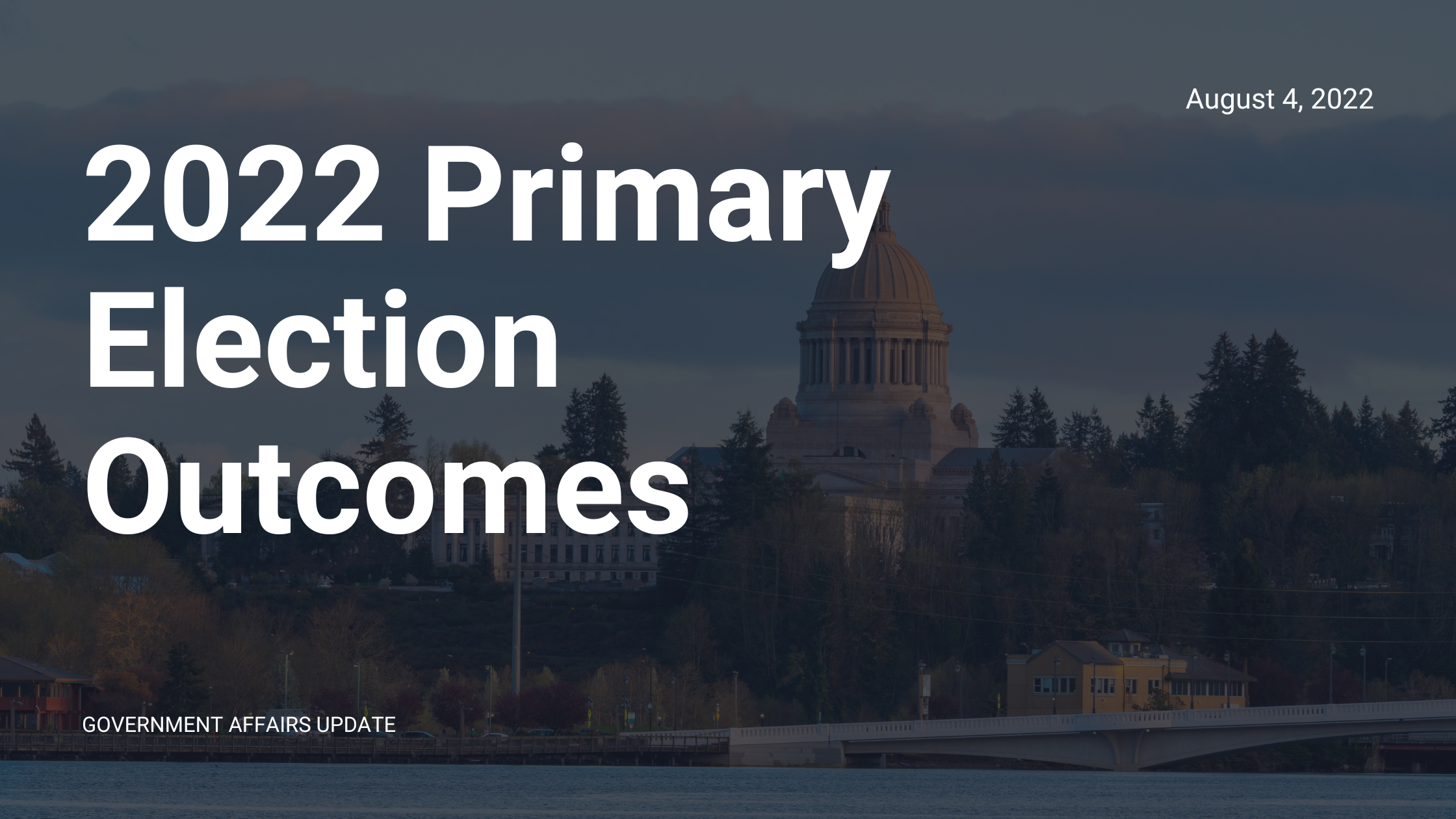 Image for 2022 Primary Election Outcomes