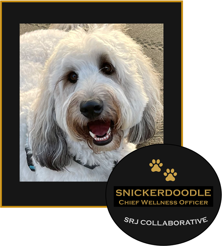 Snickerdoodle, Chief Wellness Office
