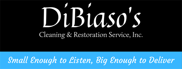 Dibiaso's Cleaning & Restoration Service, Inc.