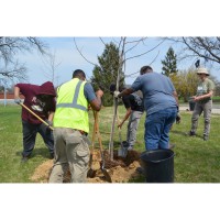 DRBA and DCH Transform Veterans Memorial Park Entrance with 58 Native Trees