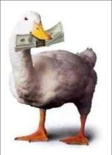 duck with cash