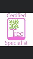 Certified Tree Specialist Inc.