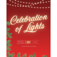 2026 Celebration of Lights