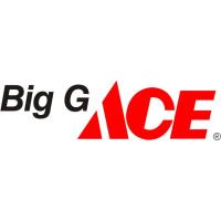 Big G Ace Hardware Store