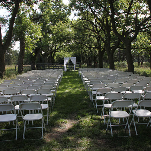 Tree Lane Ceremony Tree Lane Ceremony