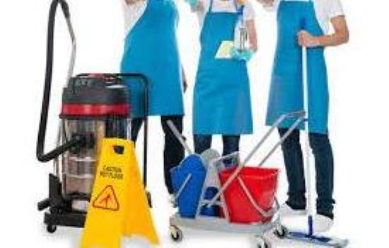 Cleaners / Laundry / Janitorial Services