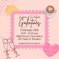 Women of Windsor Galentines Event