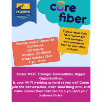 Core Fiber Connect