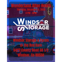Wonderland After Hours