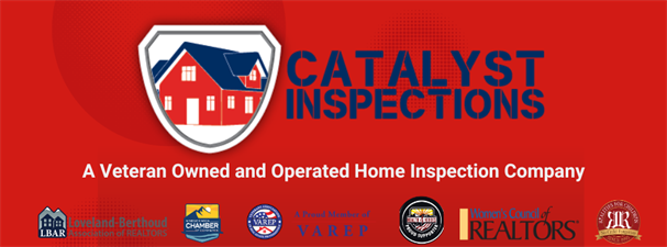 Catalyst Inspections