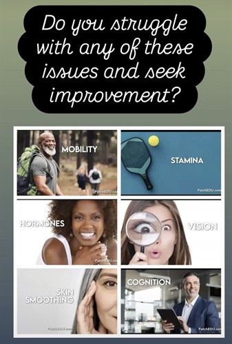 Gallery Image IMG_2658.jpeg