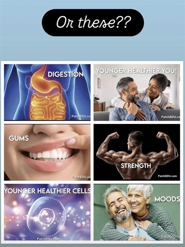 Gallery Image IMG_2659.jpeg