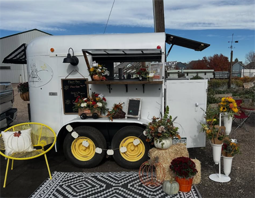 Gallery Image Screenshot_2025-12-19_195317.png