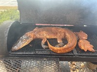 MAYA COVE LLC. DBA BAMA BREEZE BBQ - FORT COLLINS
