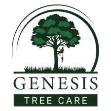 Genesis Tree Care
