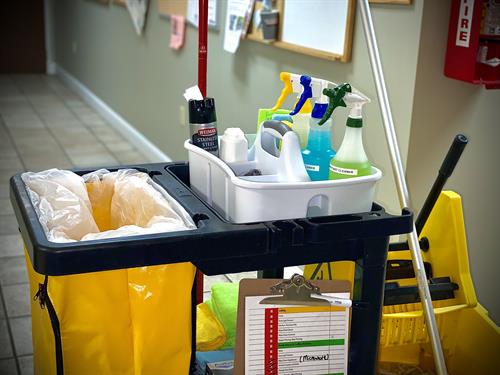 Organized Cleaning Caddy Cart 